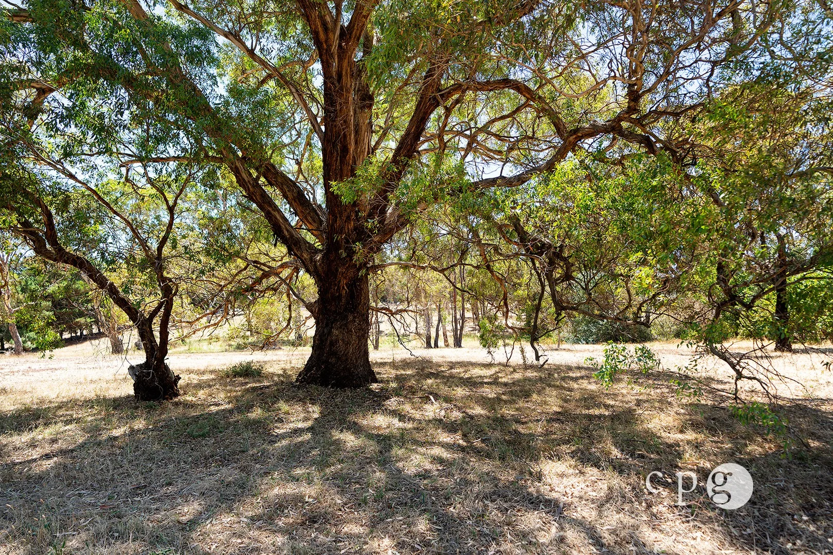 80 Mills Road, Harcourt VIC 3453