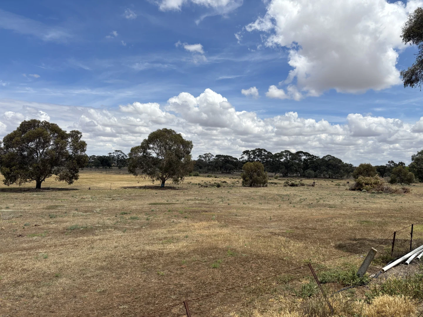 Additional image 3 of SOUTH STREET, Donald VIC 3480