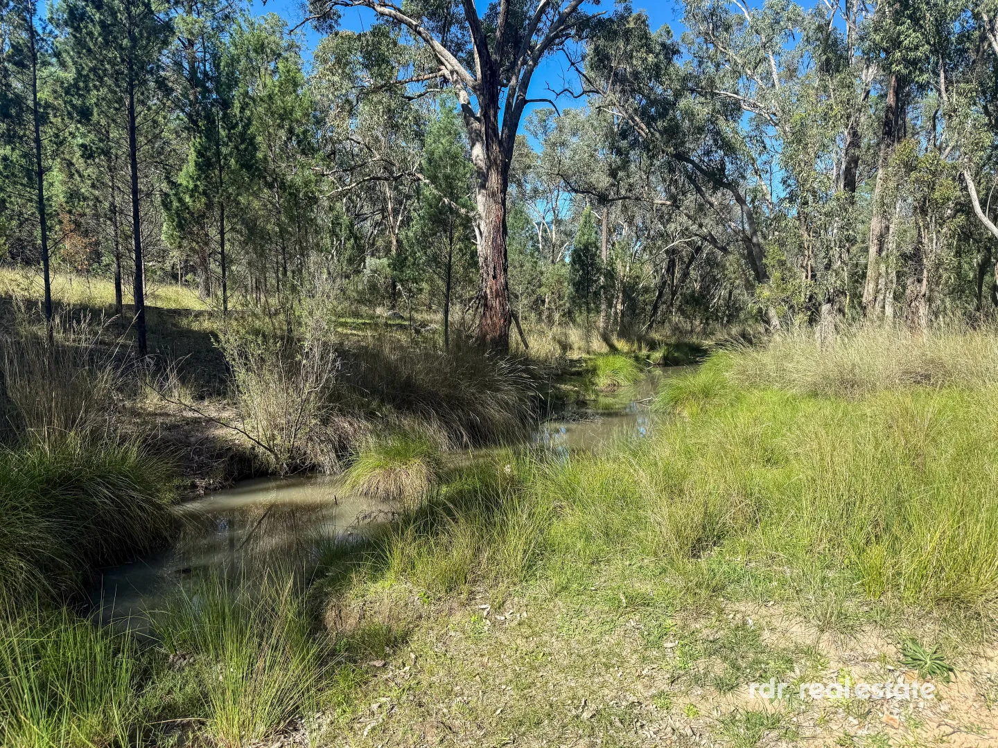 Additional image 7 of Lot 1 Onus Road, Copeton, Inverell NSW 2360