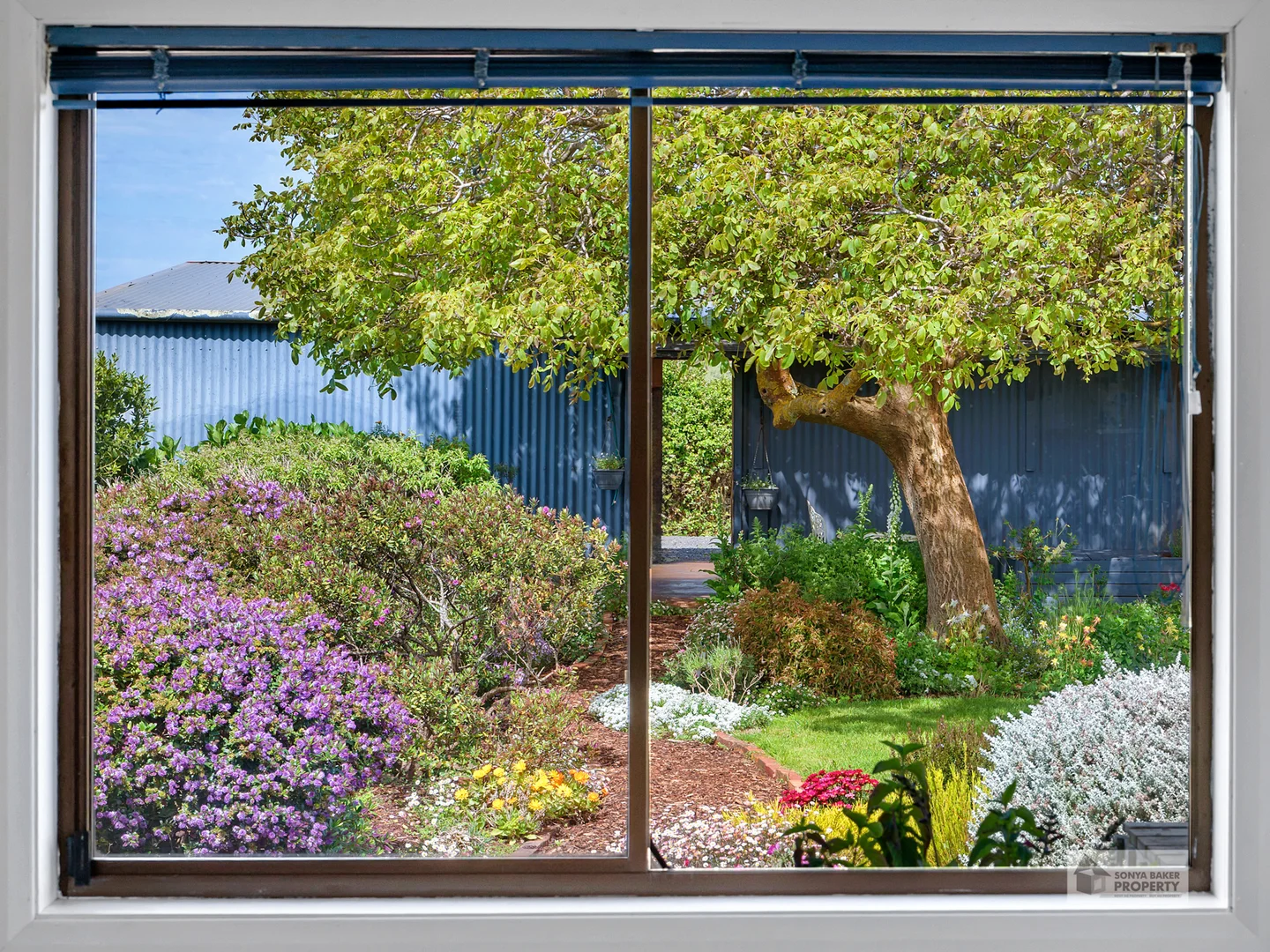 Additional image 25 of 144 Baulds Road, Table Cape TAS 7325