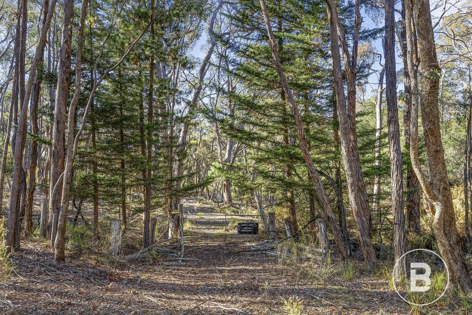 Additional image 3 of 115 Belltopper Road, Drummond North VIC 3446