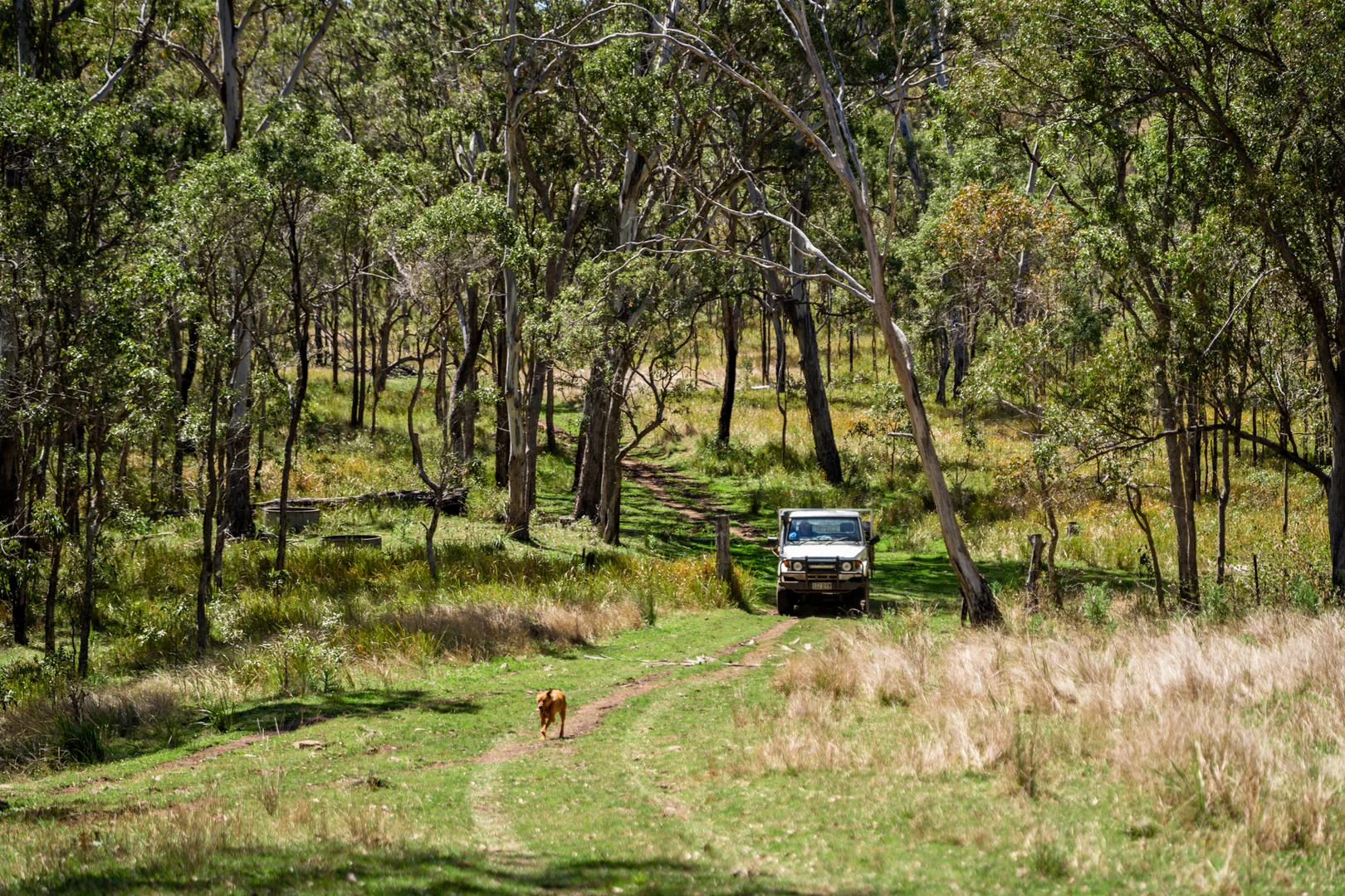 Additional image 14 of 'Yabragunyah' Pilton Valley Road, Upper Pilton QLD 4361