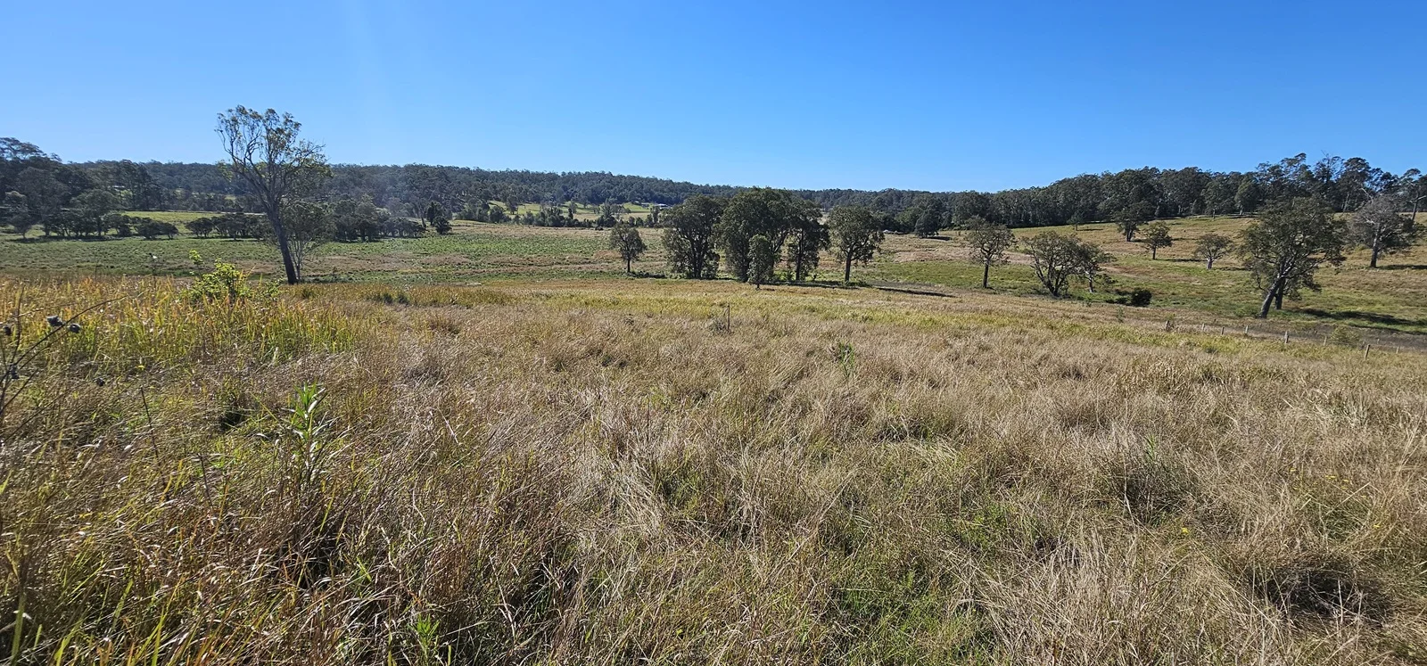 Additional image 13 of 981 Old Dyraaba Road, Lower Dyraaba NSW 2470