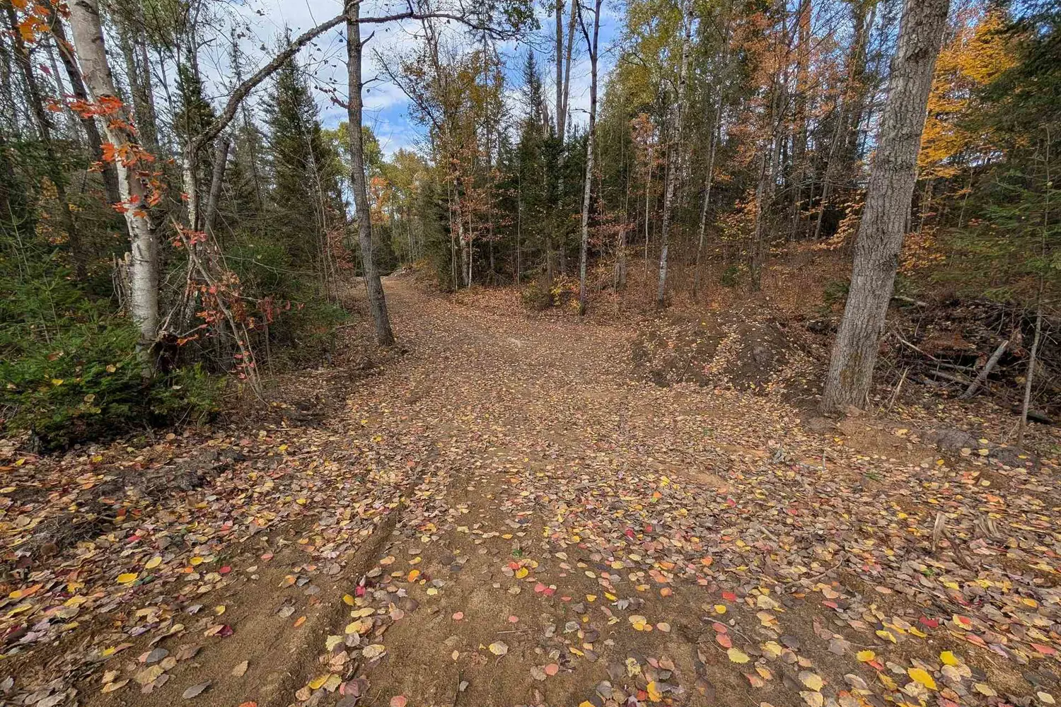 0 Forest Lake Road photo 4