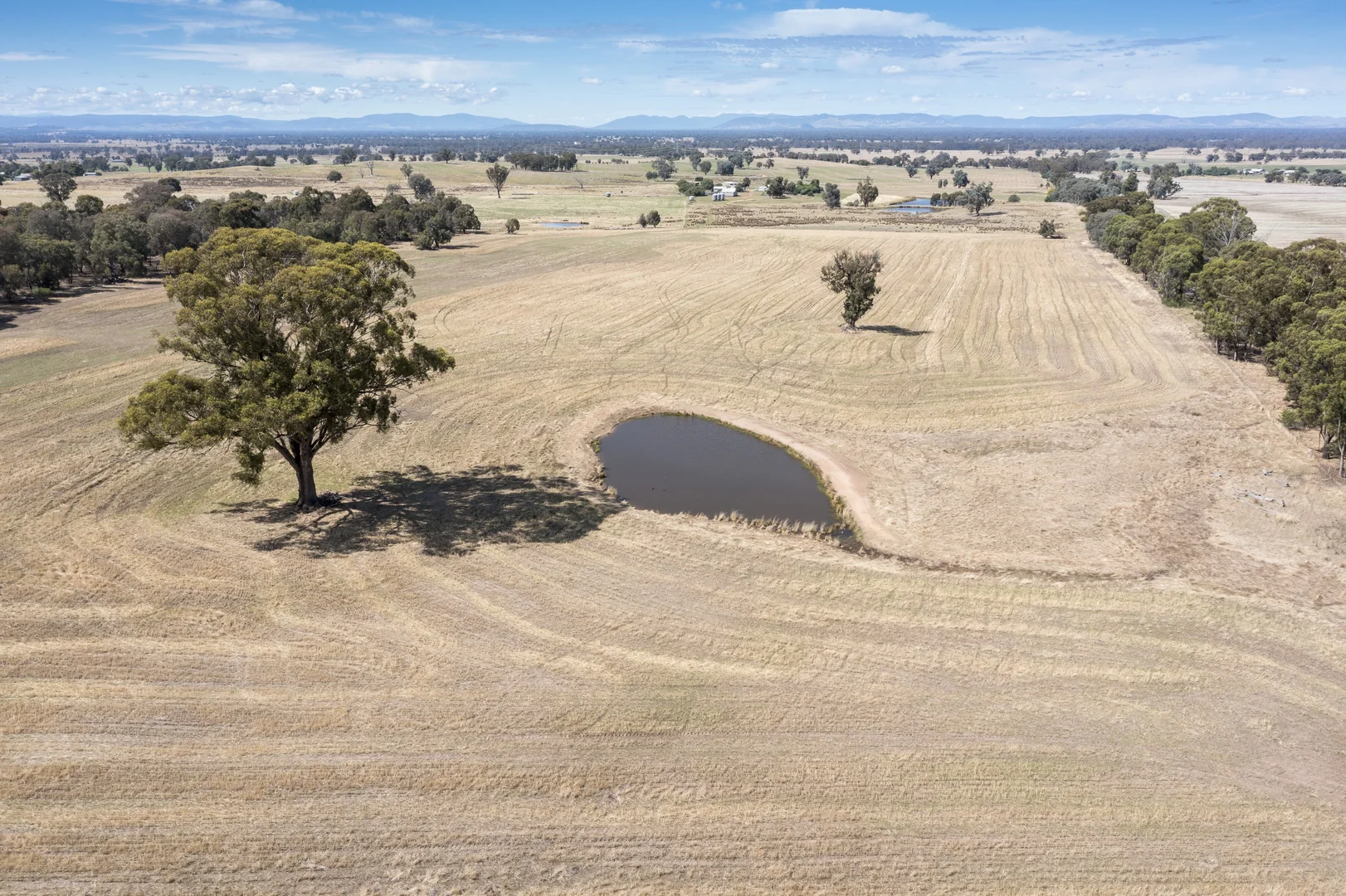 Additional image 21 of 646 Old Thoona Road, Goorambat VIC 3725