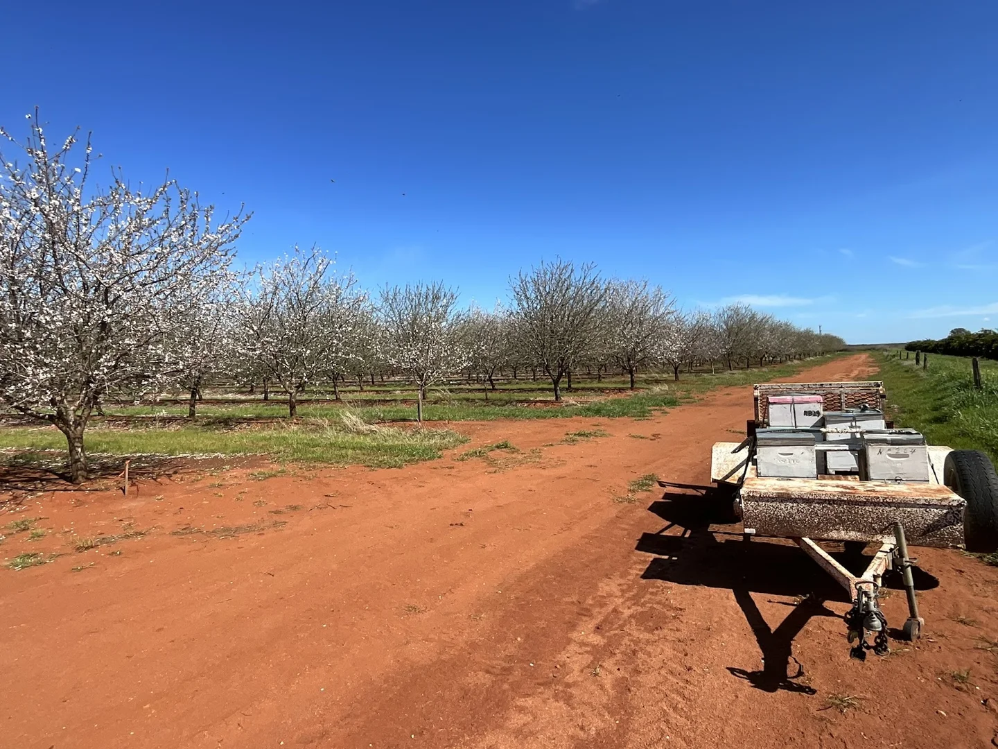 Additional image 16 of 226 & 276 New Farms Road, Nericon NSW 2680