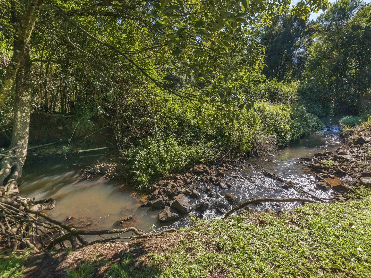 Additional image 3 of 710 Cowlong Road, Eltham NSW 2480