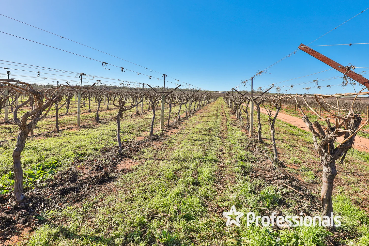 Additional image 14 of 160 Channel Road, Coomealla NSW 2717