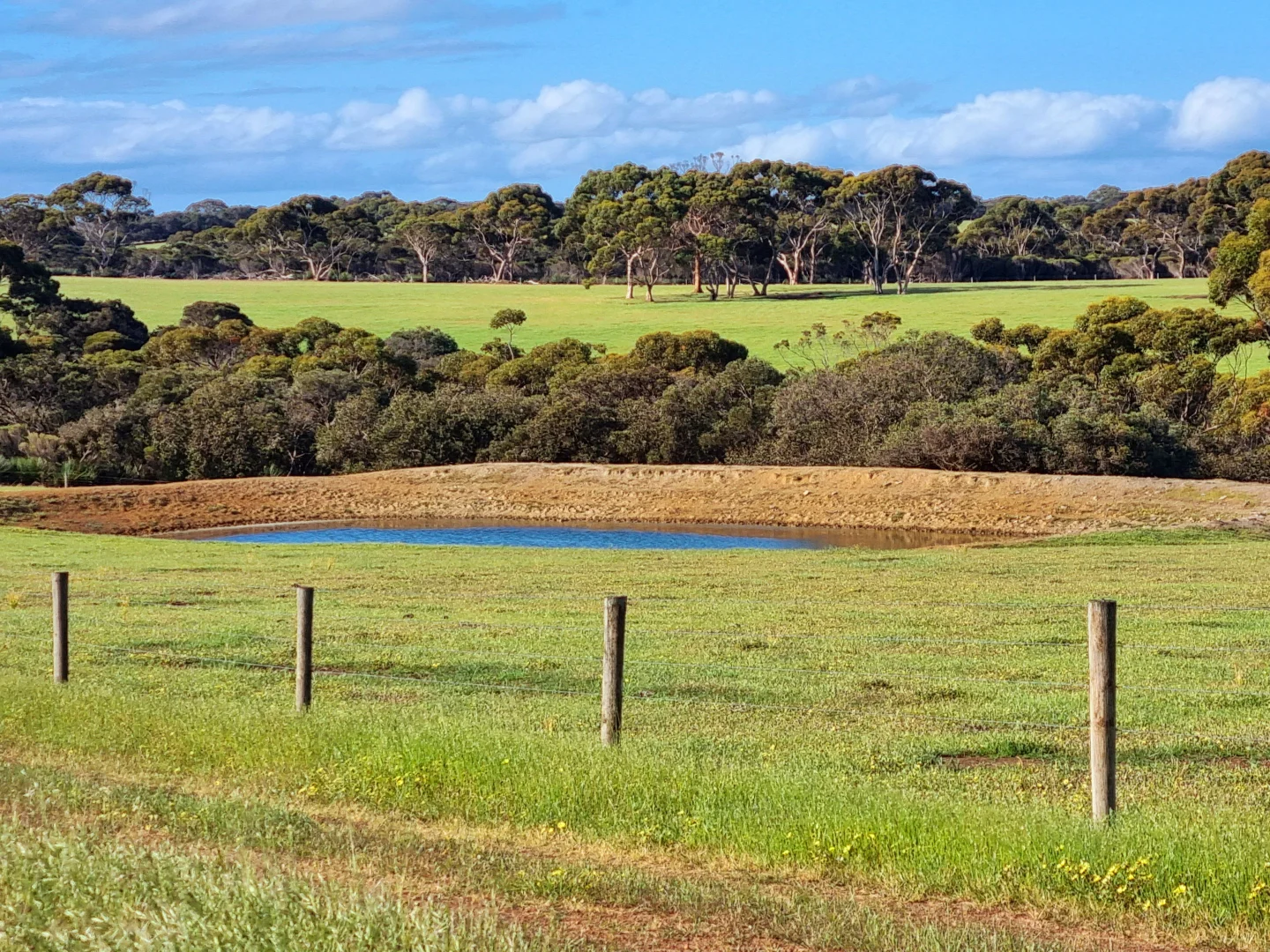Additional image 9 of 958 Crabbs Road, Newland SA 5223