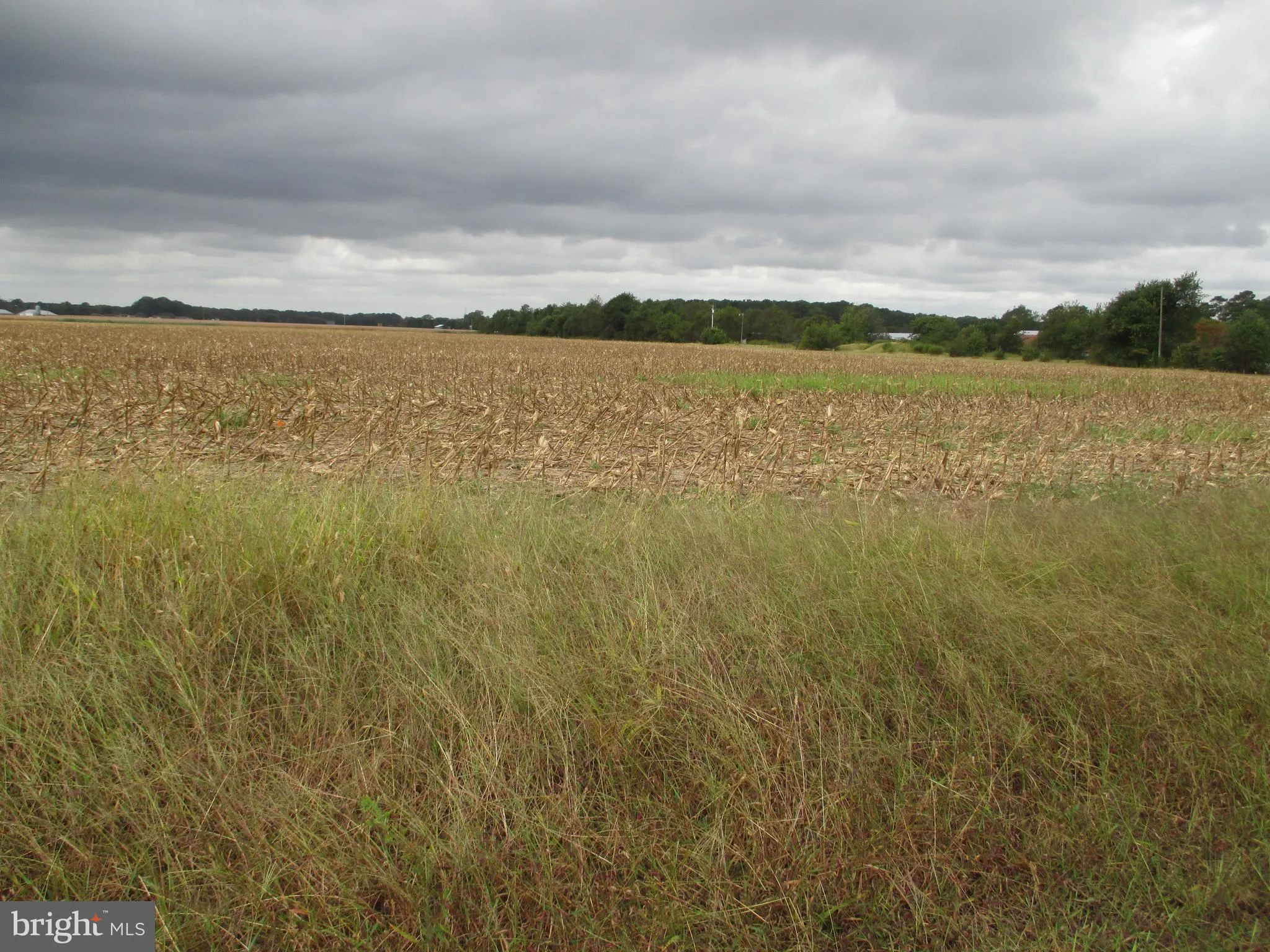 Additional image 9 of Lot 6 Gray Road St, Dagsboro, DE 19939