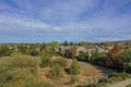 Additional image 21 of 2300 Iron Point Rd, Folsom, CA, 95630