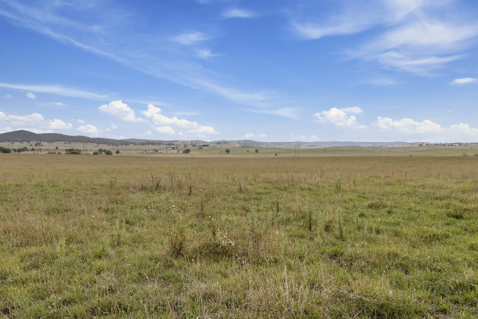 Additional image 6 of Lot 15 & 16 Barton Highway, Murrumbateman NSW 2582