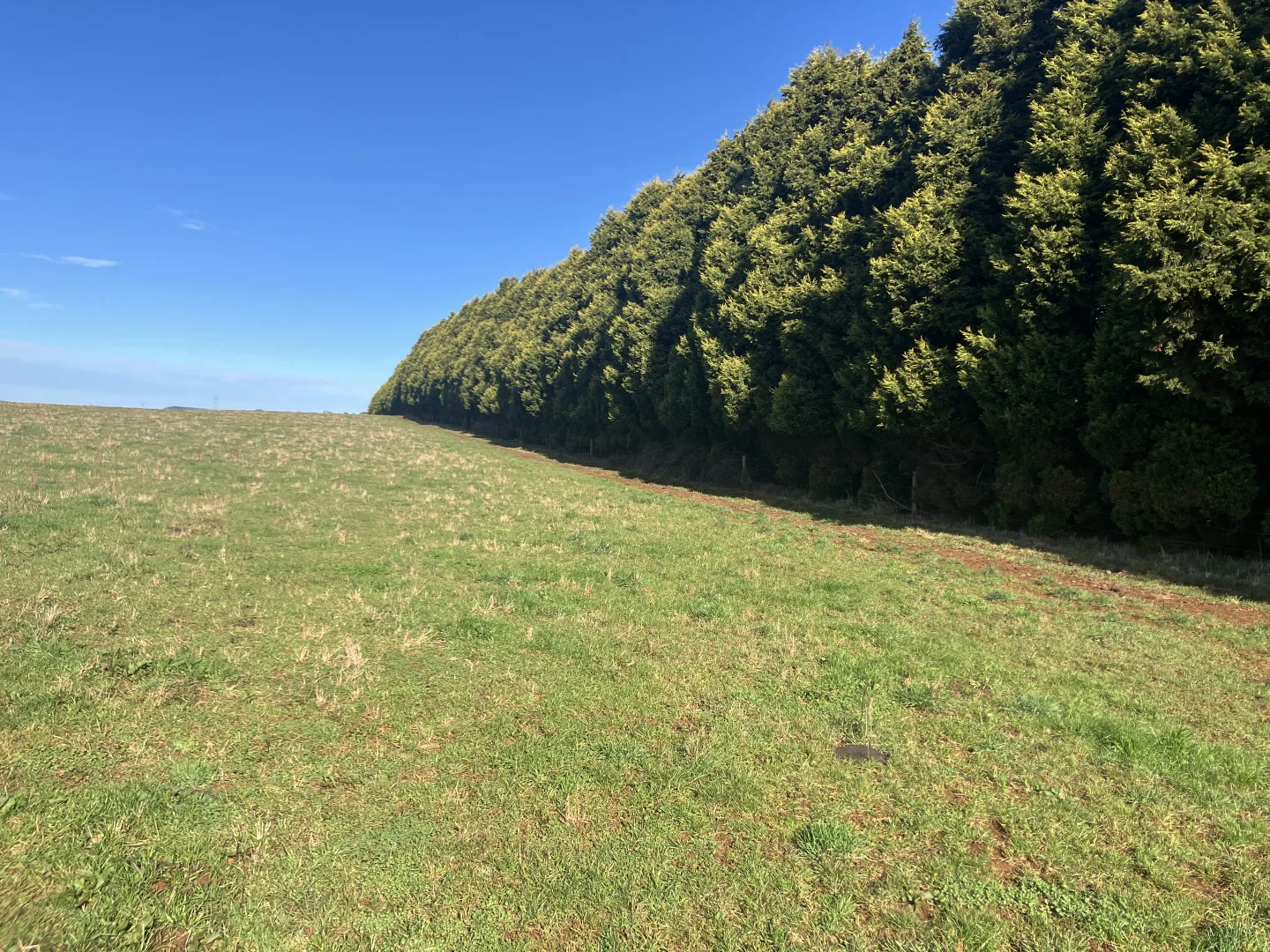 Additional image 10 of 511 Backline Road, Forest TAS 7330