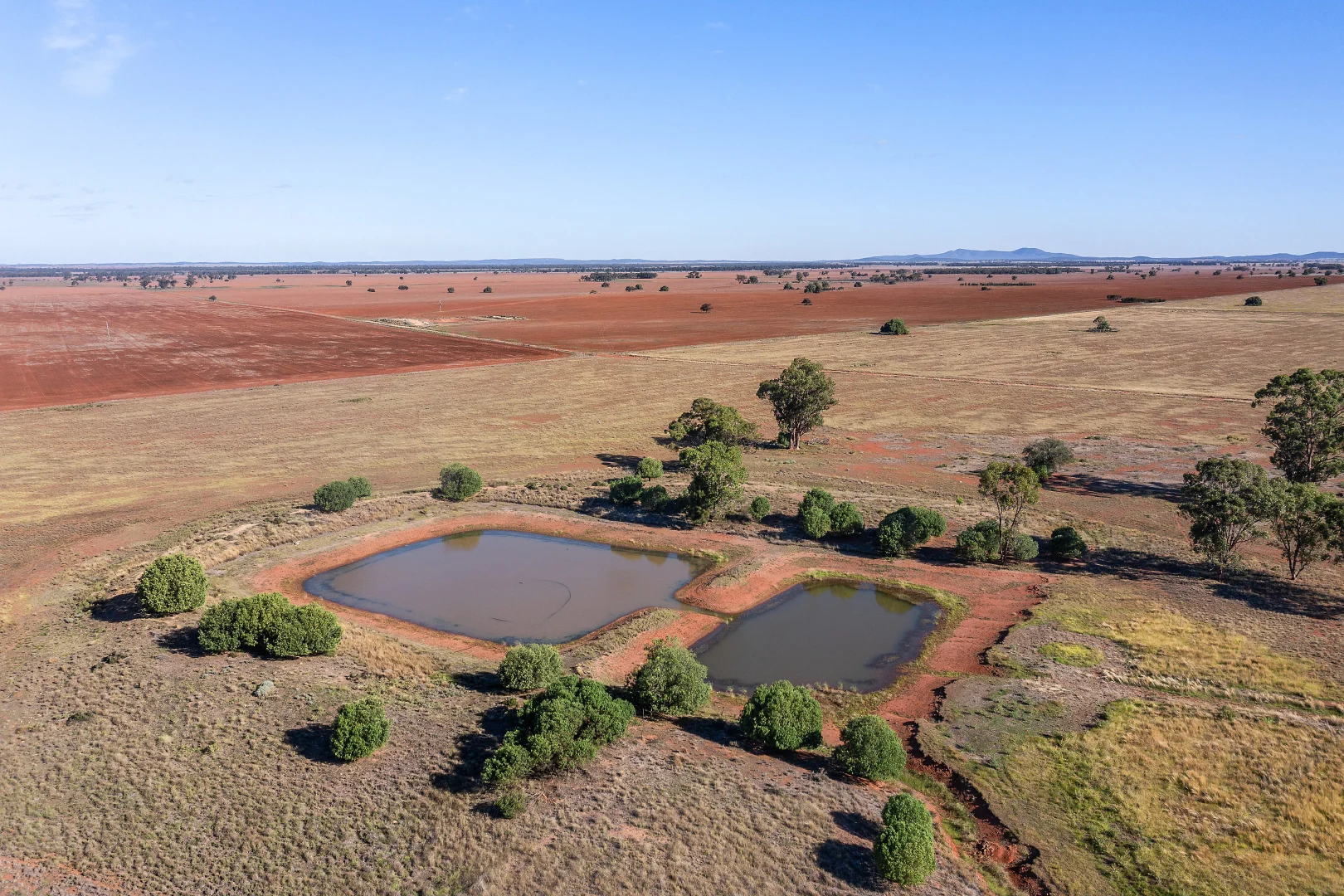 Additional image 13 of 4229 Bobadah Road, Bobadah NSW 2877