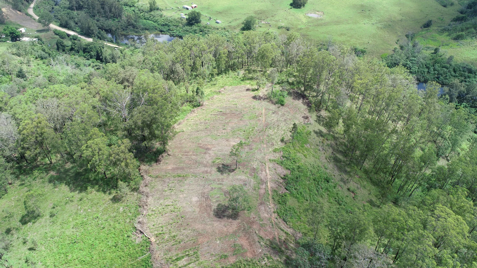 Additional image 4 of Nowendoc Road, Caffreys Flat NSW 2424
