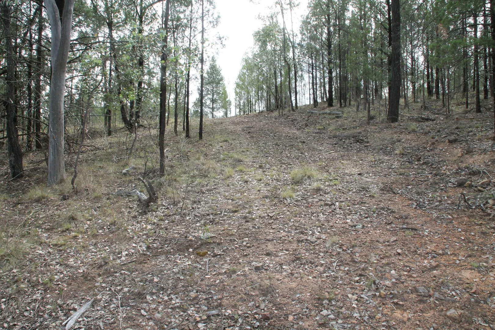 Additional image 8 of Lot 19 Mountain Creek Road, Tenterfield NSW 2372