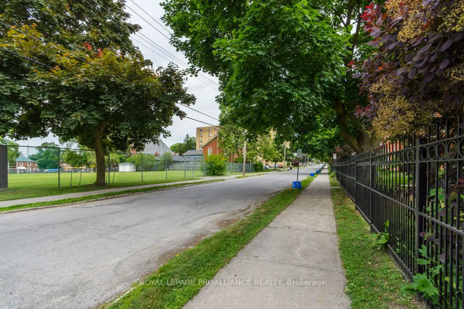 Additional image 17 of 233 John Street 5