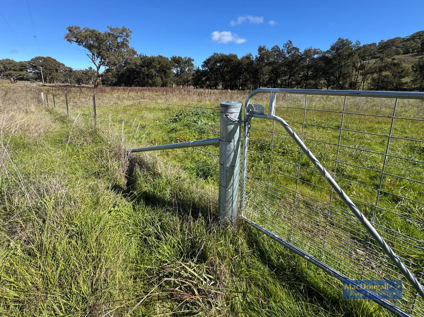 Additional image 15 of 384 Dry Creek Road, Georges Creek NSW 2365