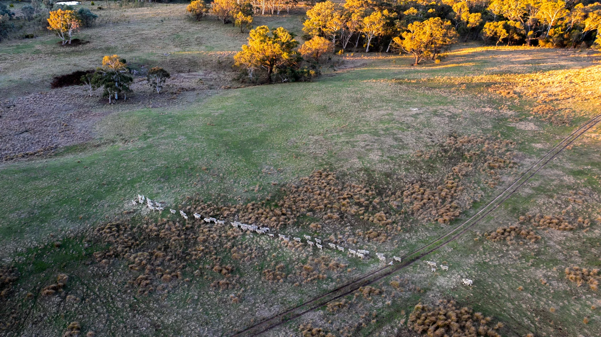 Additional image 50 of 785 Thornford Road, Goulburn NSW 2580