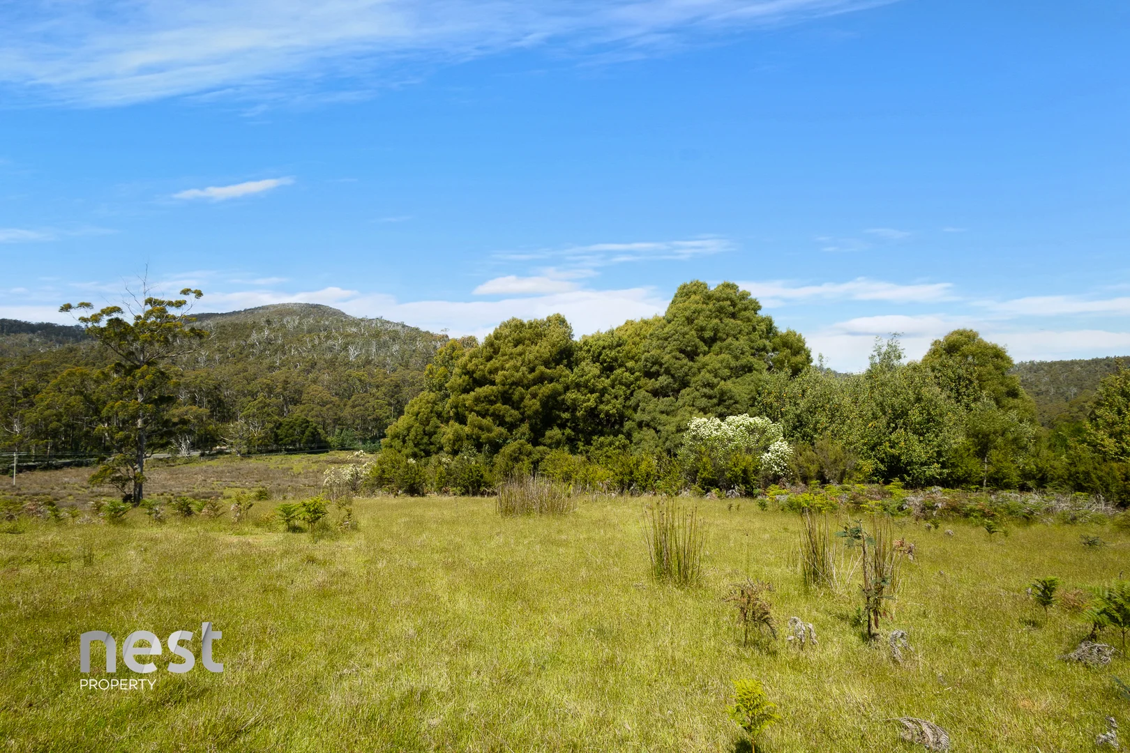 Additional image 13 of 4736 Arthur Highway, Murdunna TAS 7178
