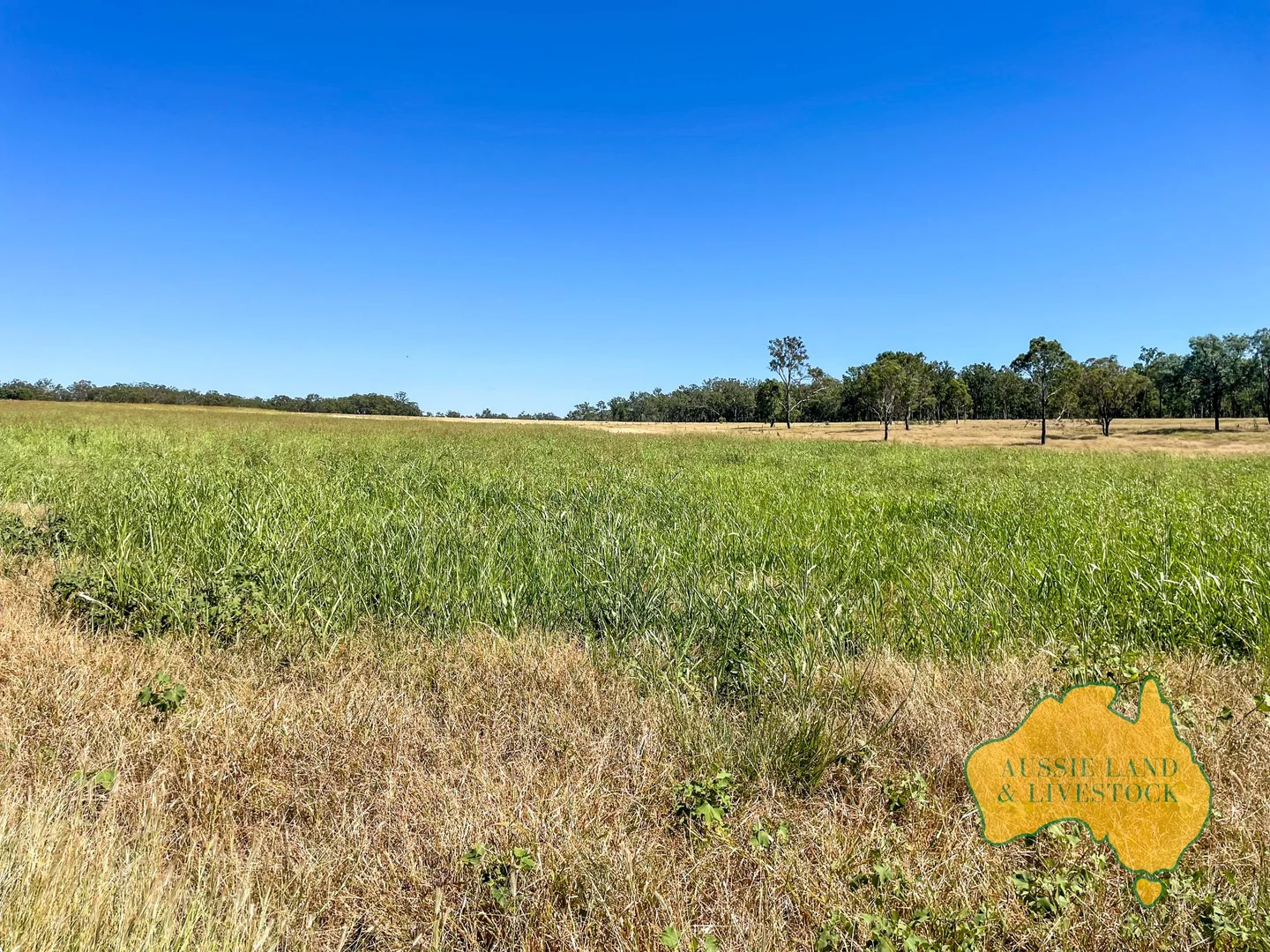 Additional image 63 of 629 Stuart Valley Drive, Haly Creek QLD 4610