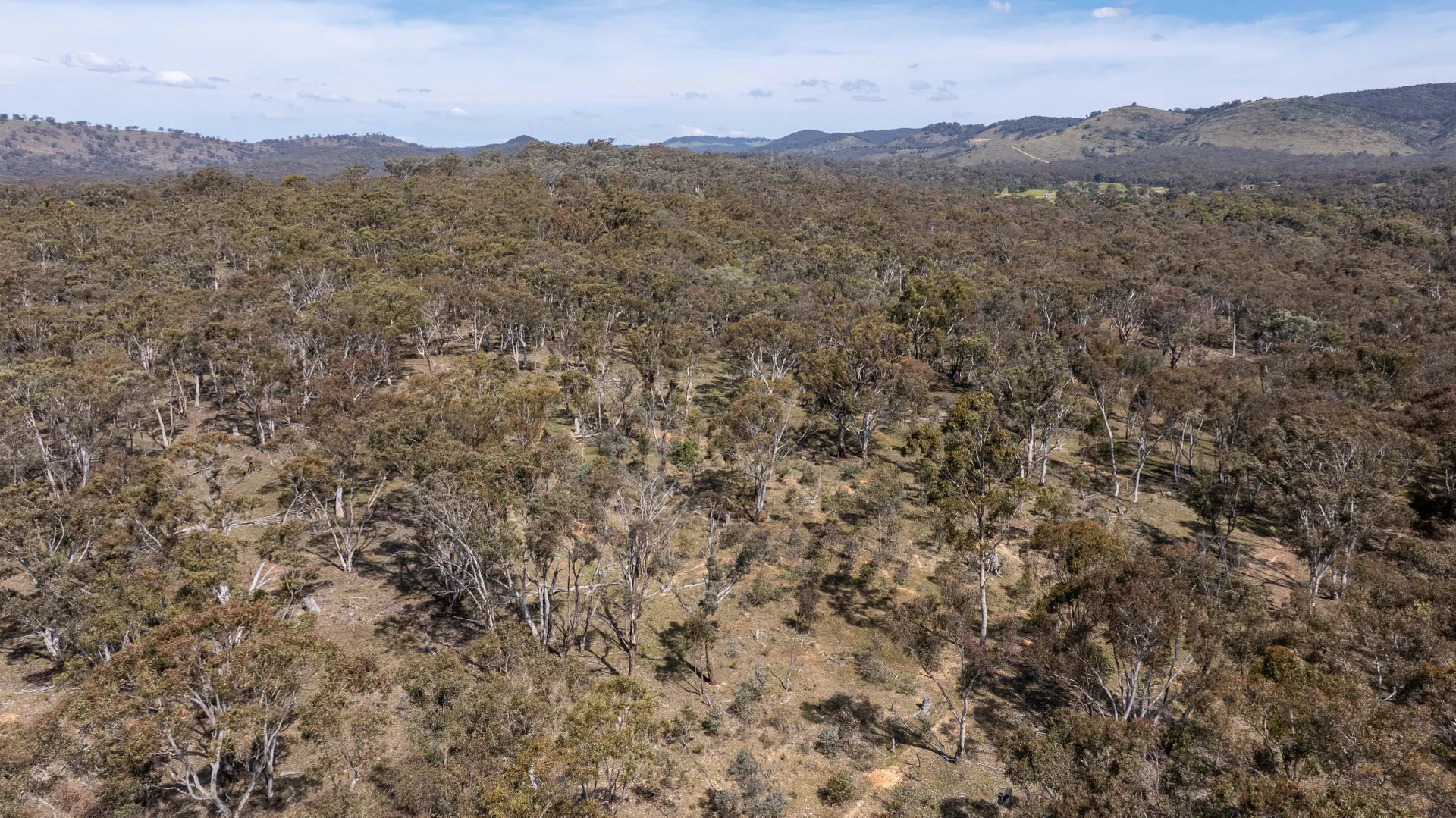 Additional image 8 of Lot 179, 82 Windgraves Road, Mudgee NSW 2850