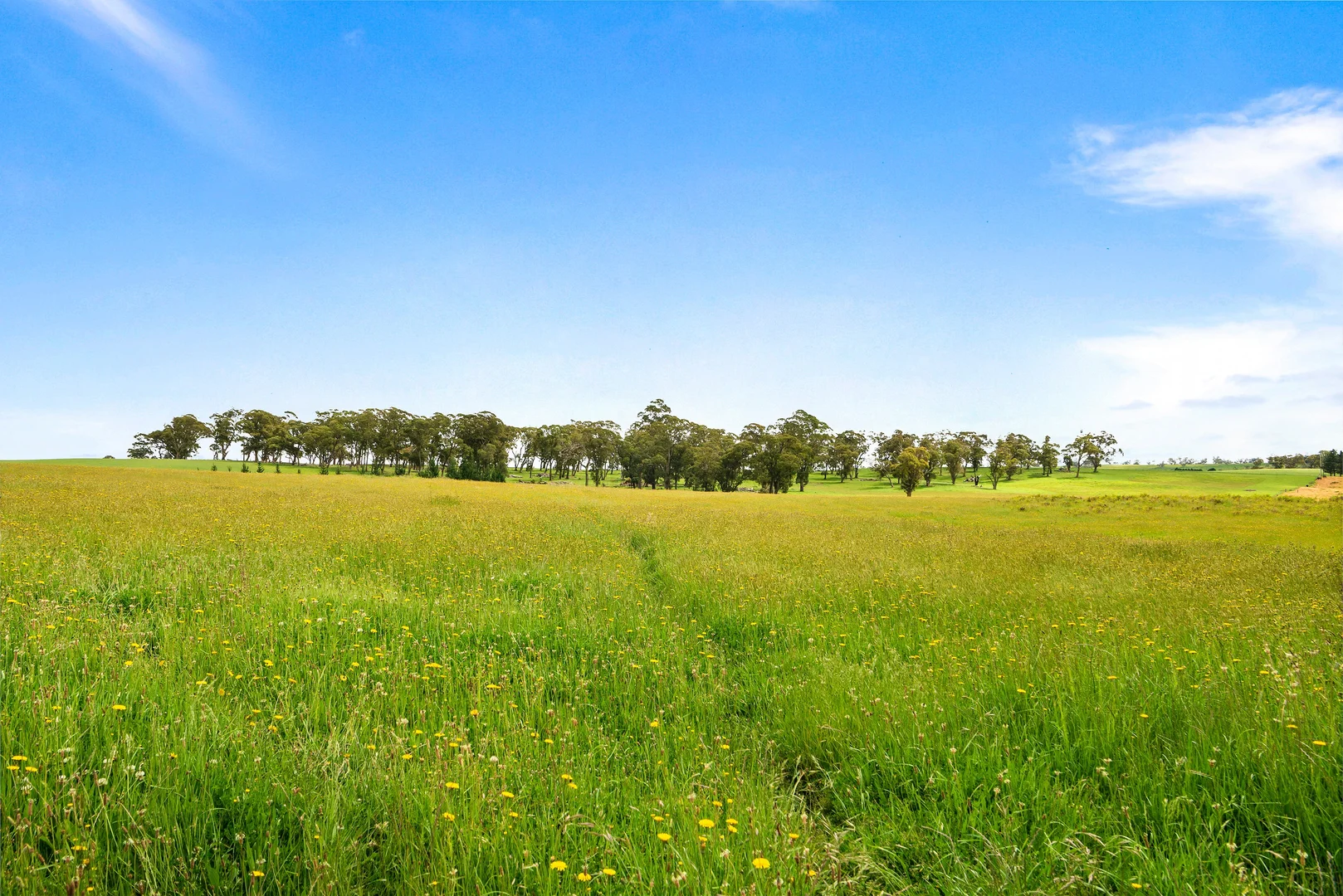 Additional image 14 of 373 Sallys Corner Road, Exeter NSW 2579