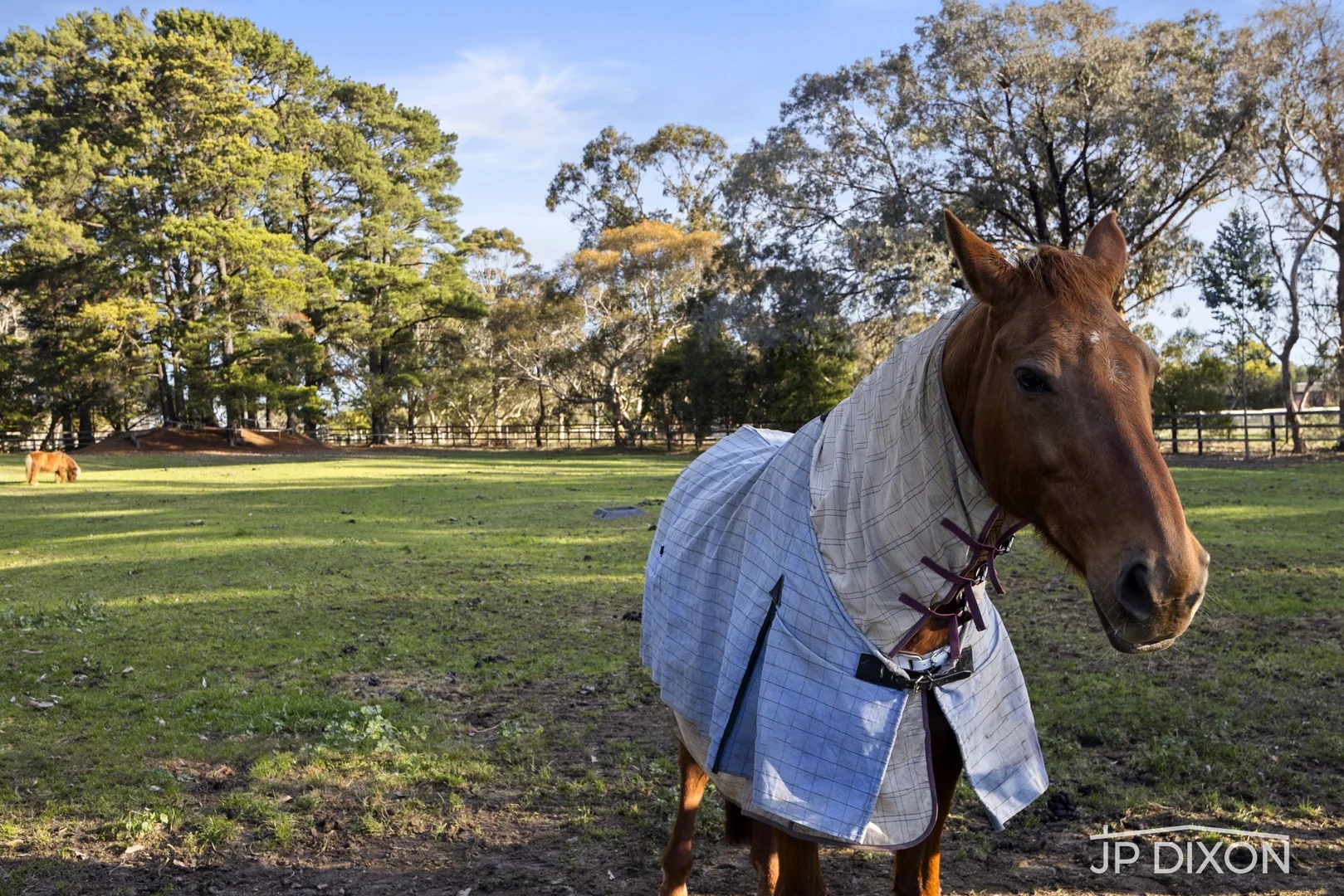 Additional image 11 of 74 Graydens Road, Tyabb VIC 3913