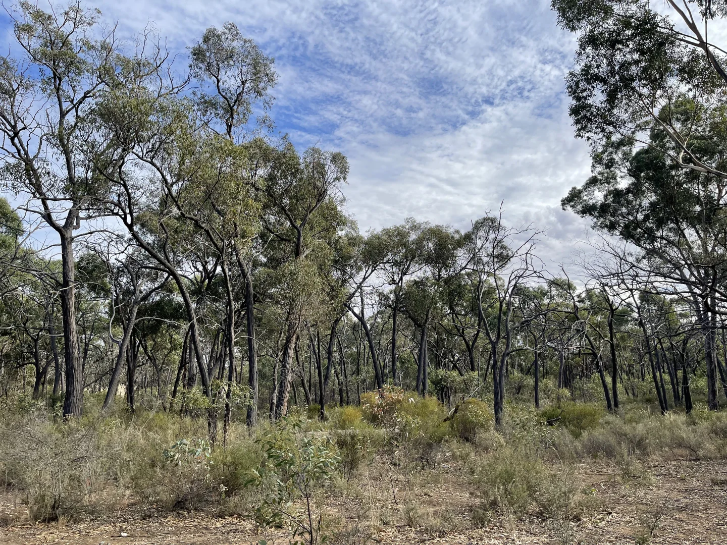 Additional image 14 of 0 Carapooee Road, St Arnaud East VIC 3477