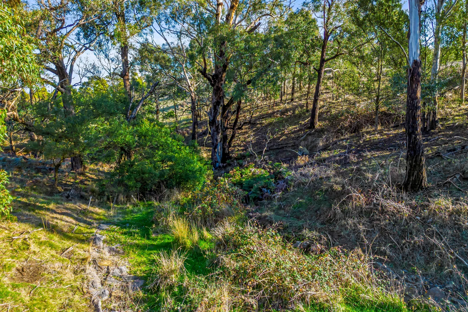 Additional image 9 of 28 Knight Way, Hidden Valley VIC 3756