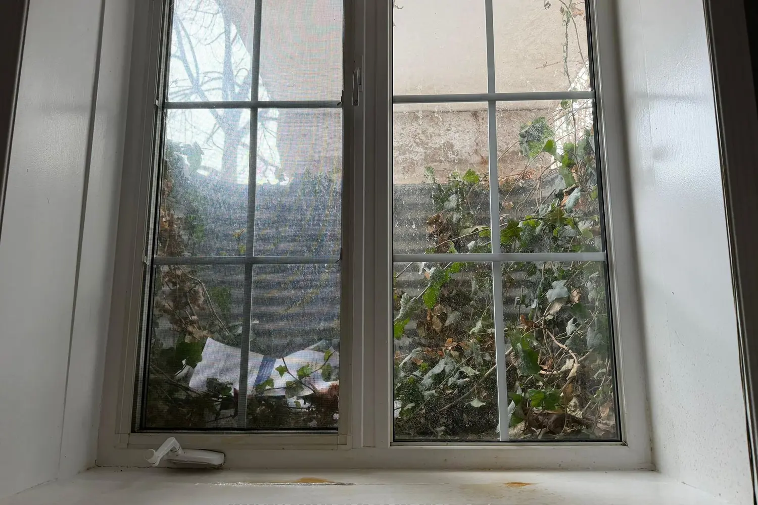 Additional image 15 of 615 Shoreline Drive 17