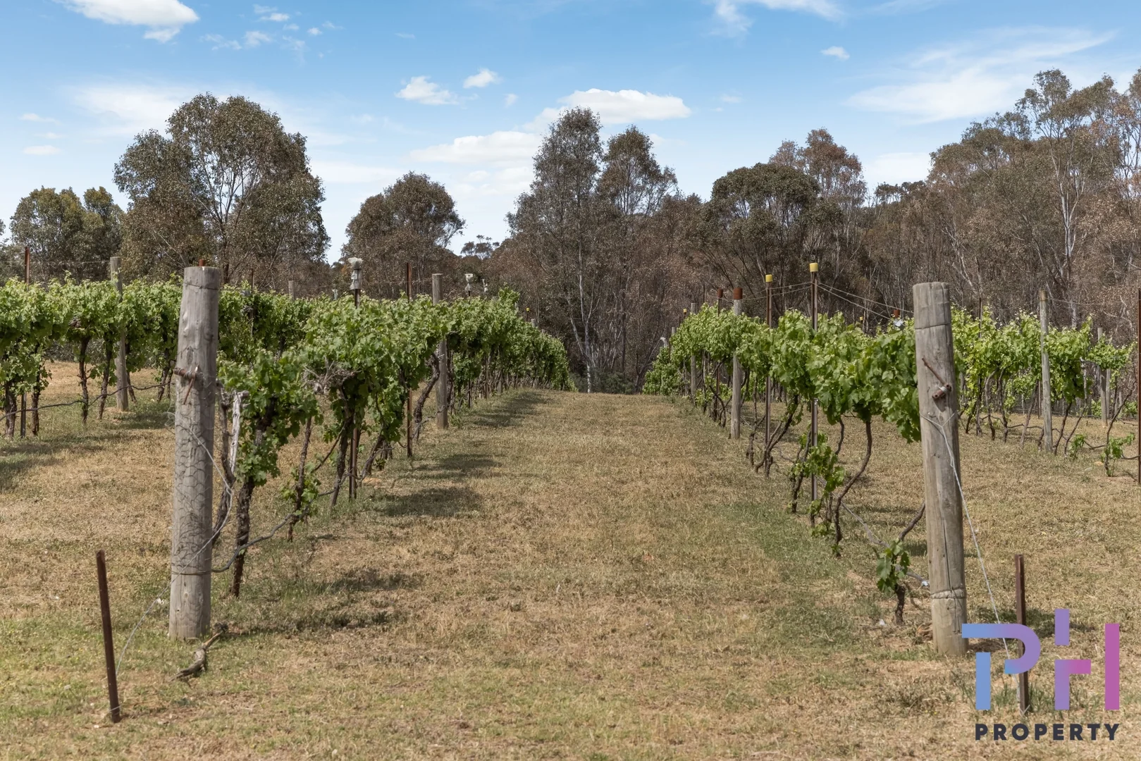 Additional image 4 of 1271 Axe Creek Road, Sedgwick VIC 3551