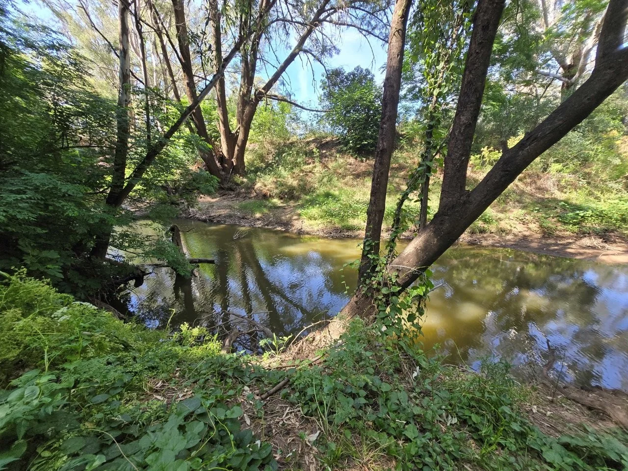 Additional image 5 of 88 Amaroo Way, Eugowra NSW 2806