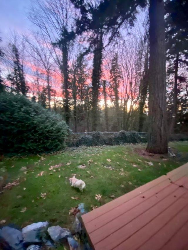 Additional image 5 of 10987 Collings Place, Delta, BC, V4C 7E7