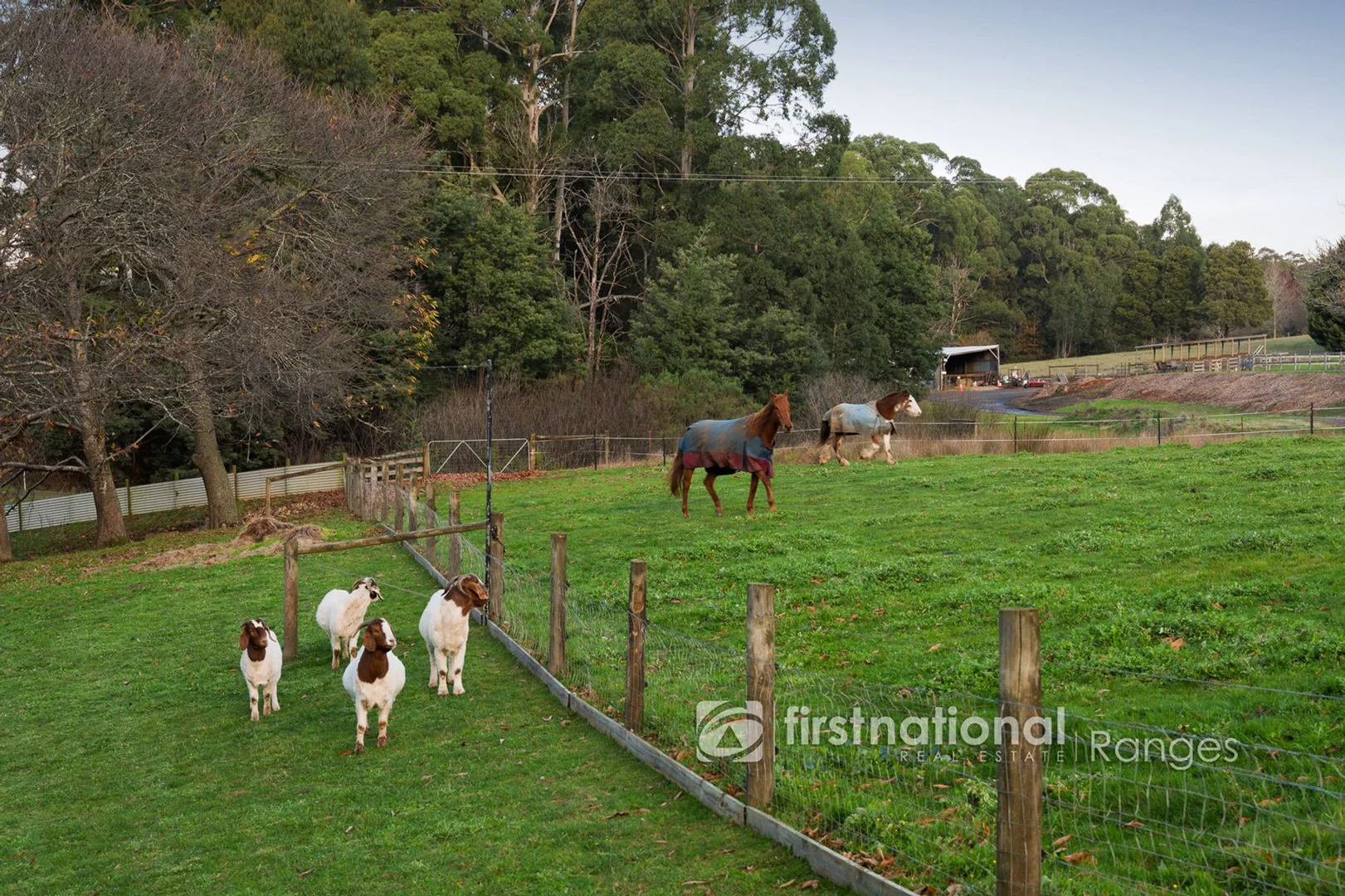 Additional image 26 of 1475 Pakenham Road, Mount Burnett VIC 3781