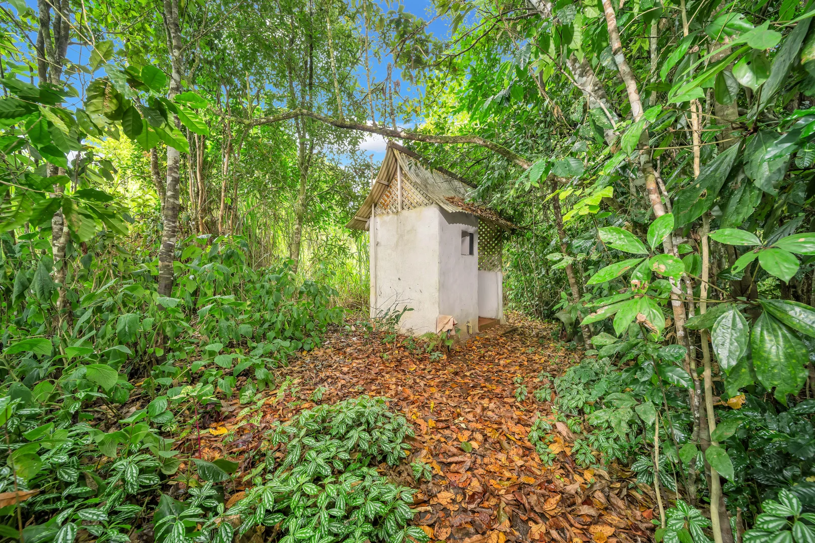 Additional image 32 of 516 Brooks Road, Mungalli QLD 4886