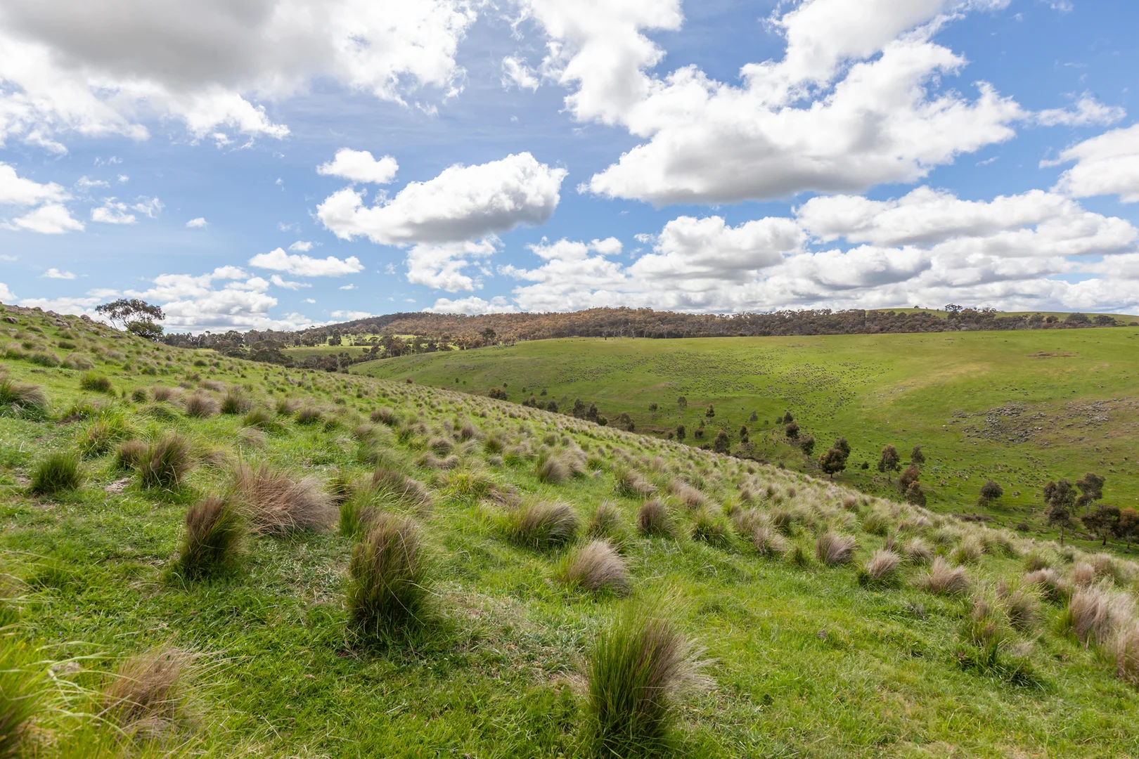 Additional image 5 of 35, 35A, 42 & 42A Romsey Road, Chintin VIC 3756