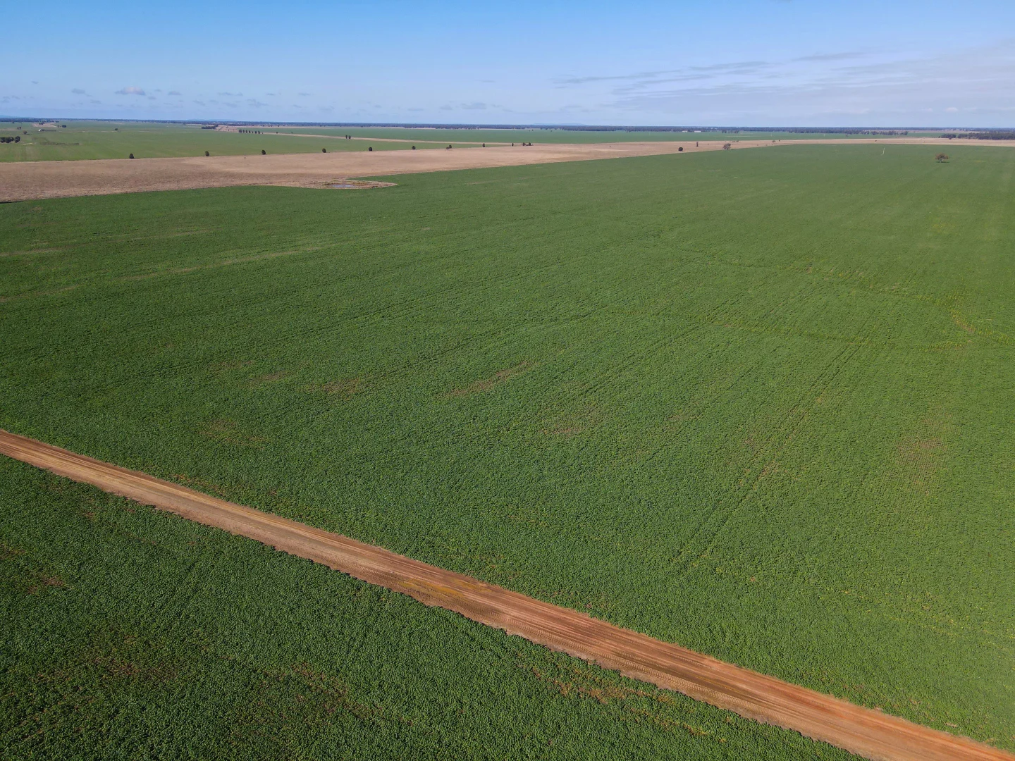 Additional image 17 of 'Williams Crossing' 139 Harris Lane, Quandialla NSW 2721