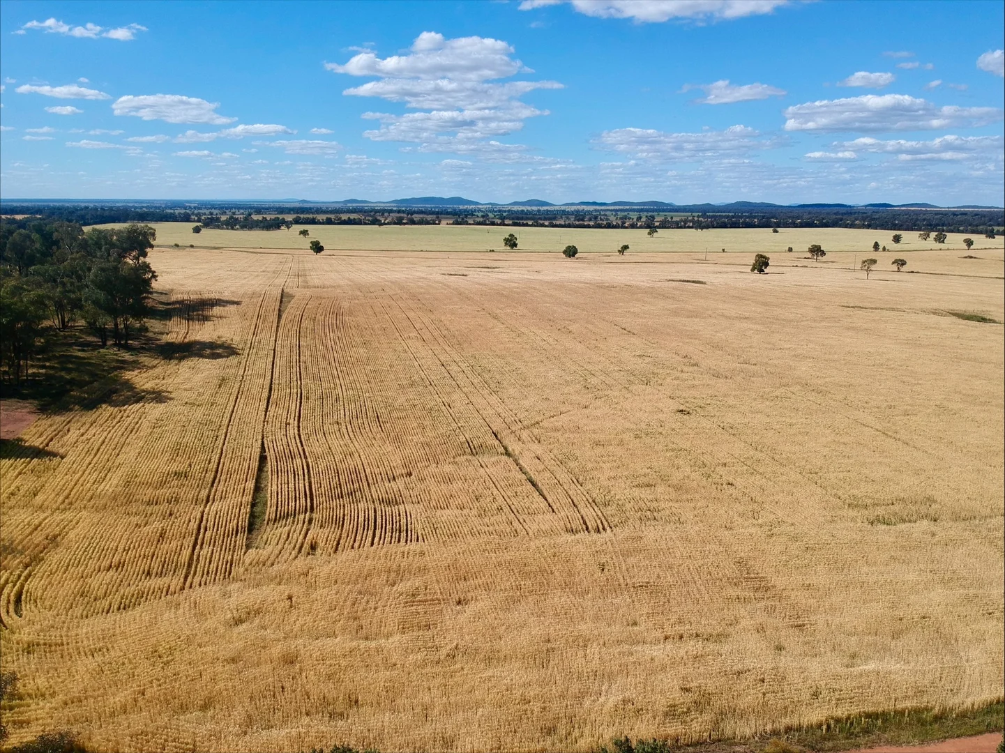 1032 Manna Forest Rd, Burcher NSW 2671 photo 4