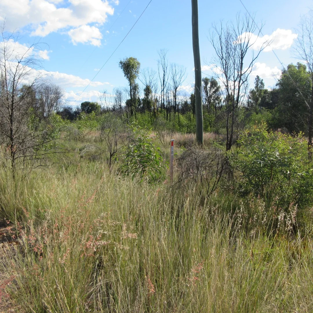 10 Tara Chinchilla Road, Tara QLD 4421