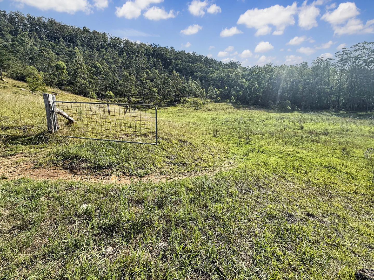 Additional image 8 of Lot 6 Paynes Crossing Rd, Paynes Crossing NSW 2325
