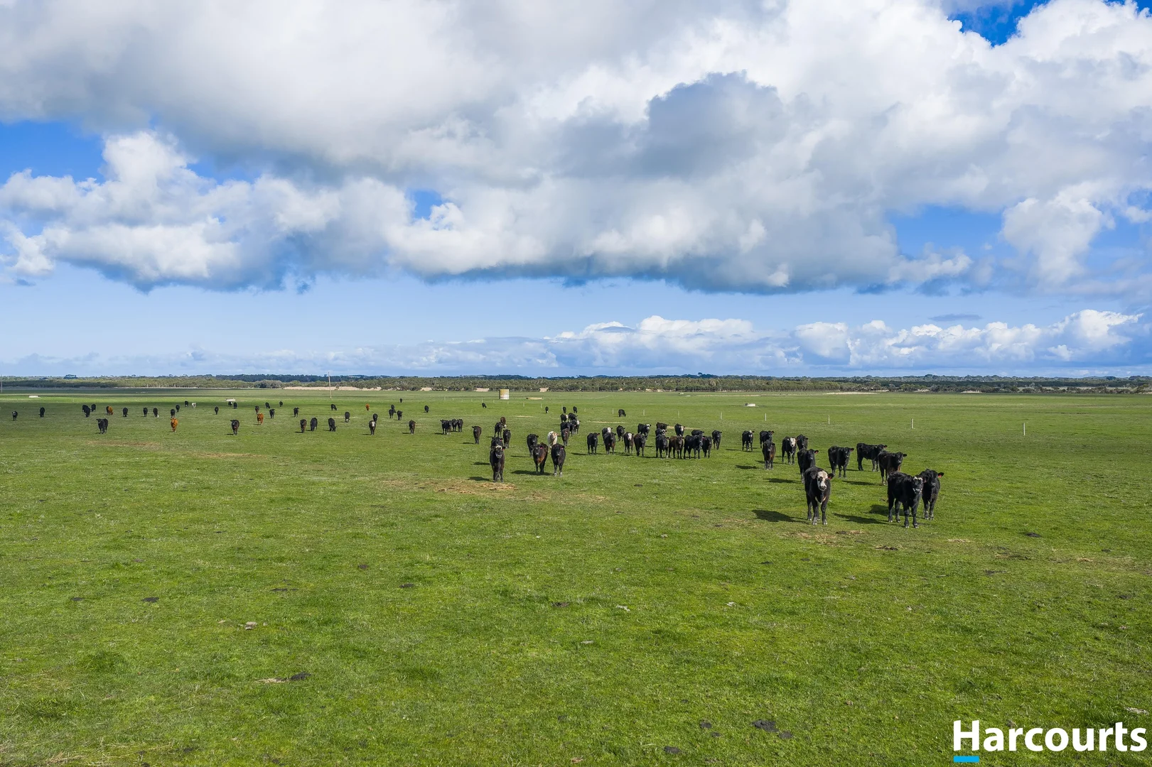 Additional image 5 of 120 Stewart and Dunlop's Road, Middle Tarwin VIC 3956