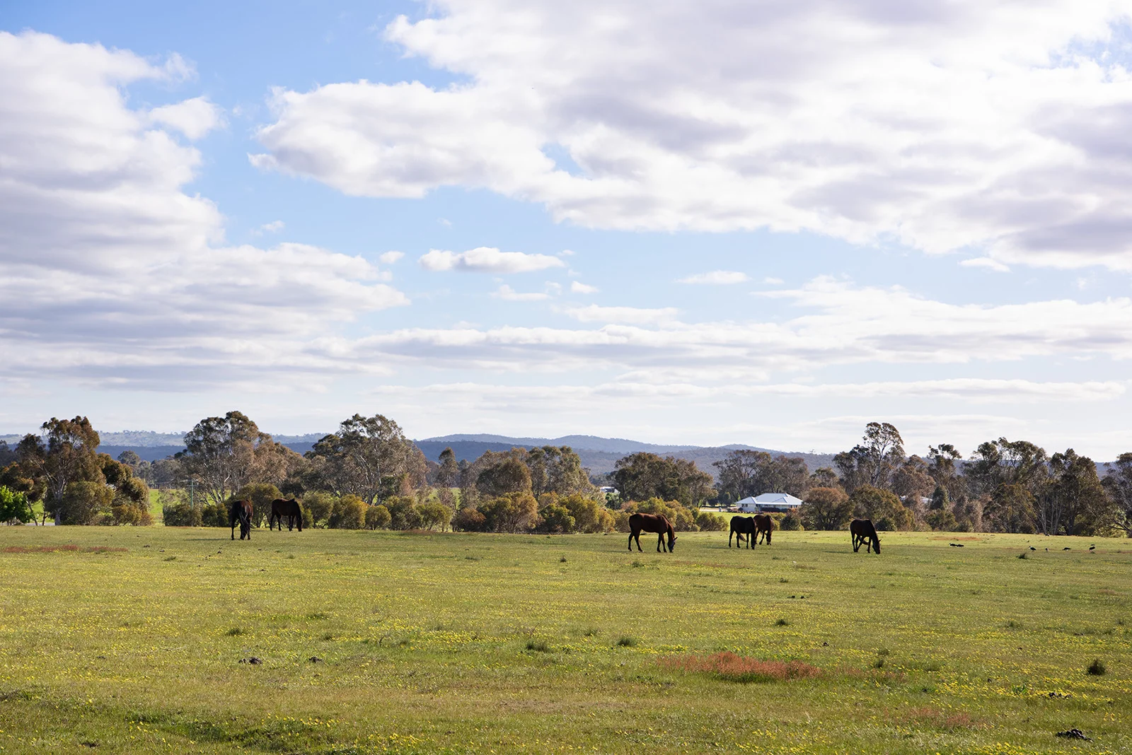 Additional image 2 of 4 Axe Creek Road, Axe Creek VIC 3551