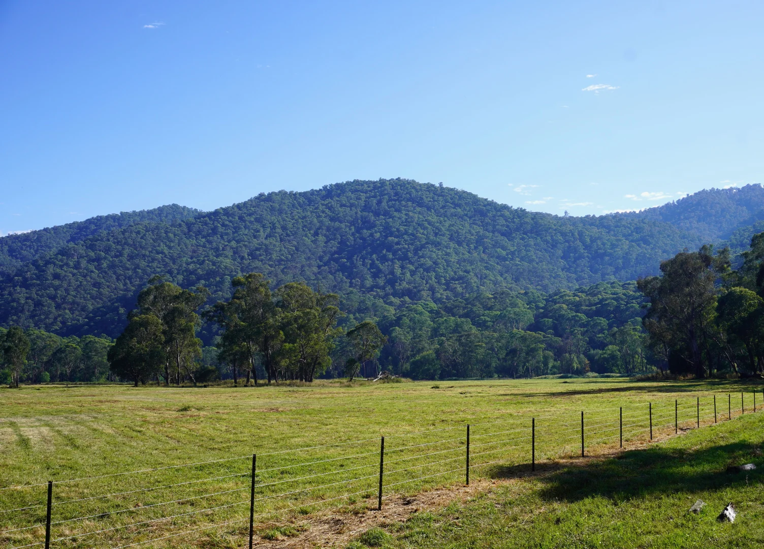 Additional image 4 of Smoko VIC 3741