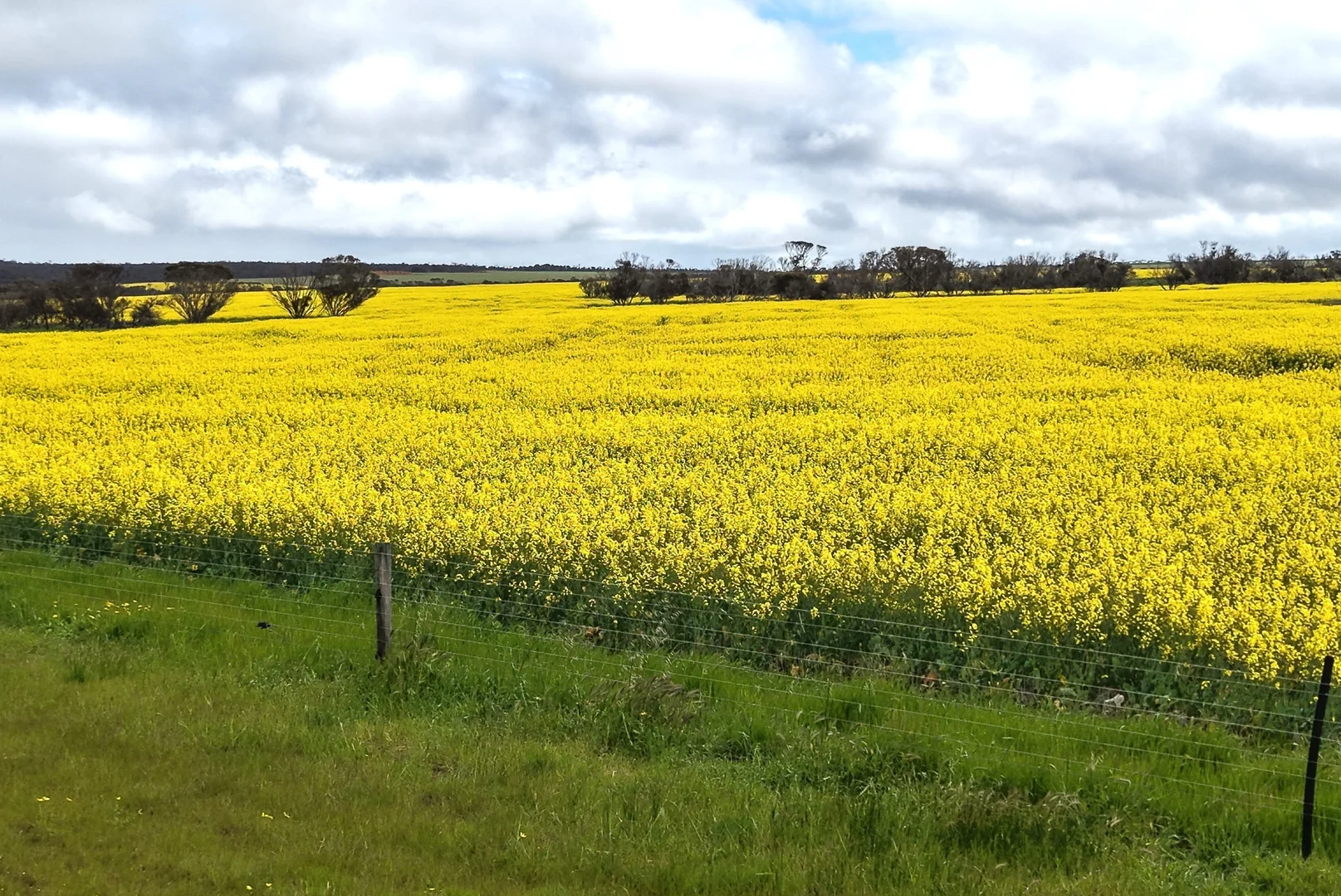 Additional image 37 of 31541 South Coast Highway, Jerramungup WA 6337