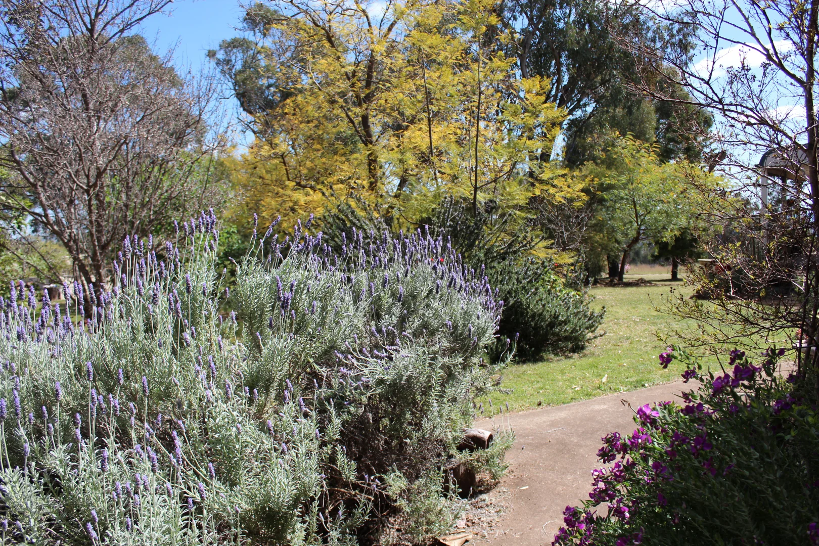 Additional image 36 of 372 Swanbrook Rd, Inverell NSW 2360