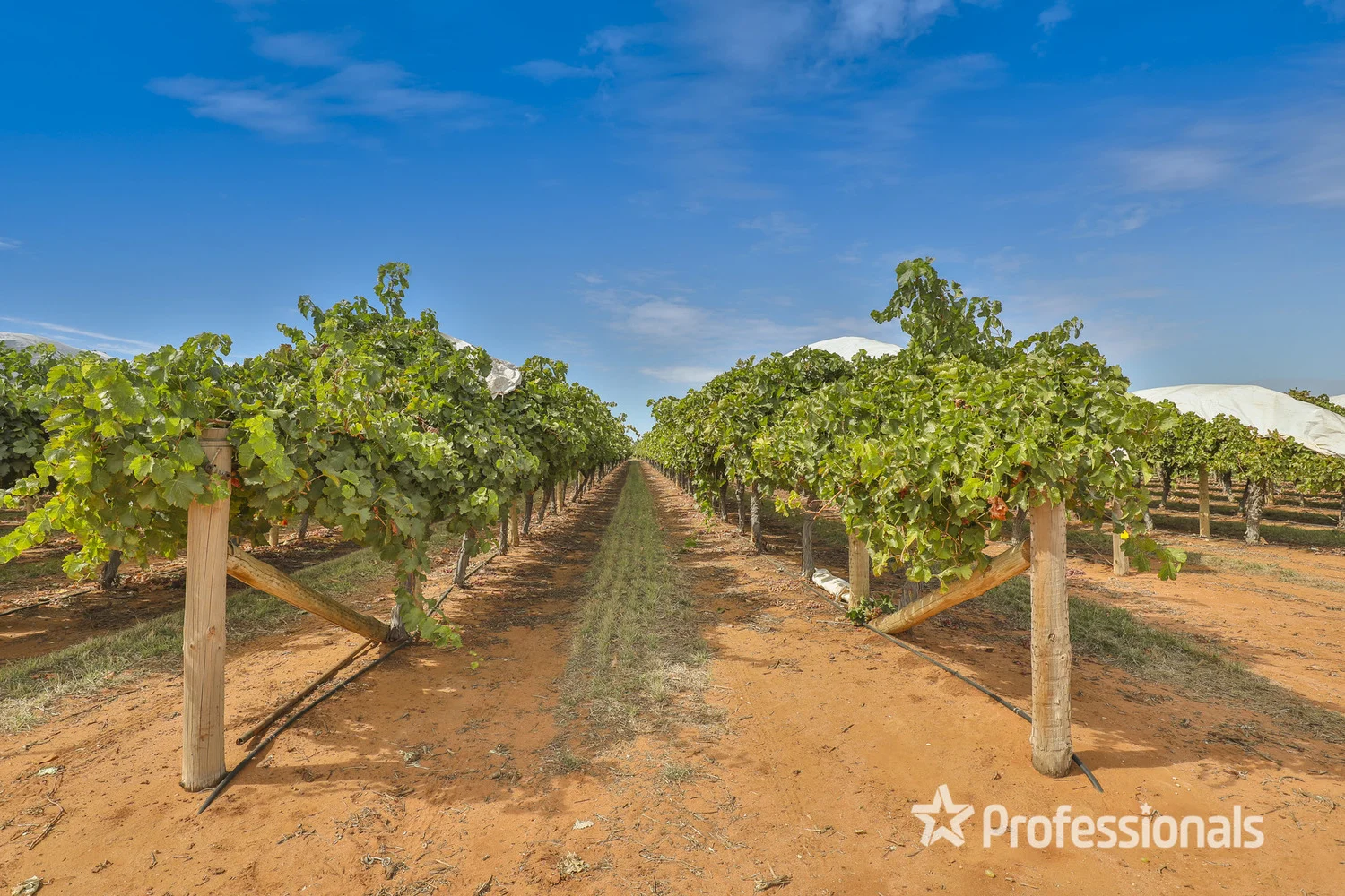 Additional image 7 of 83a Belar Avenue Extension, Irymple VIC 3498