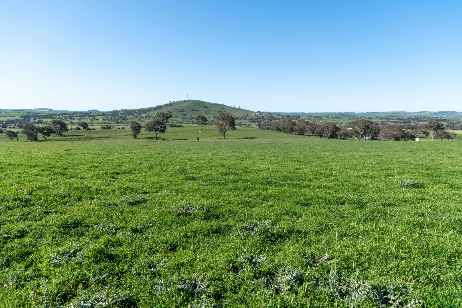 Additional image 10 of Lot 14 Long Street, Boorowa NSW 2586