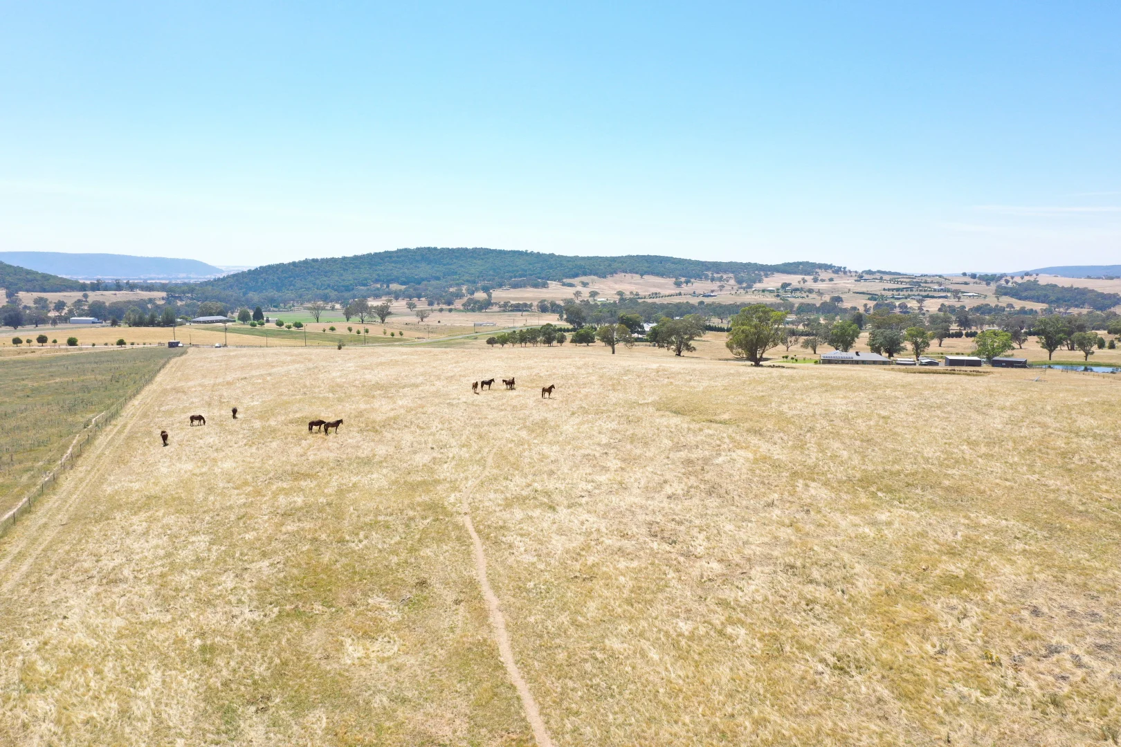 Additional image 9 of 195 Wambanumba Drive, Young NSW 2594