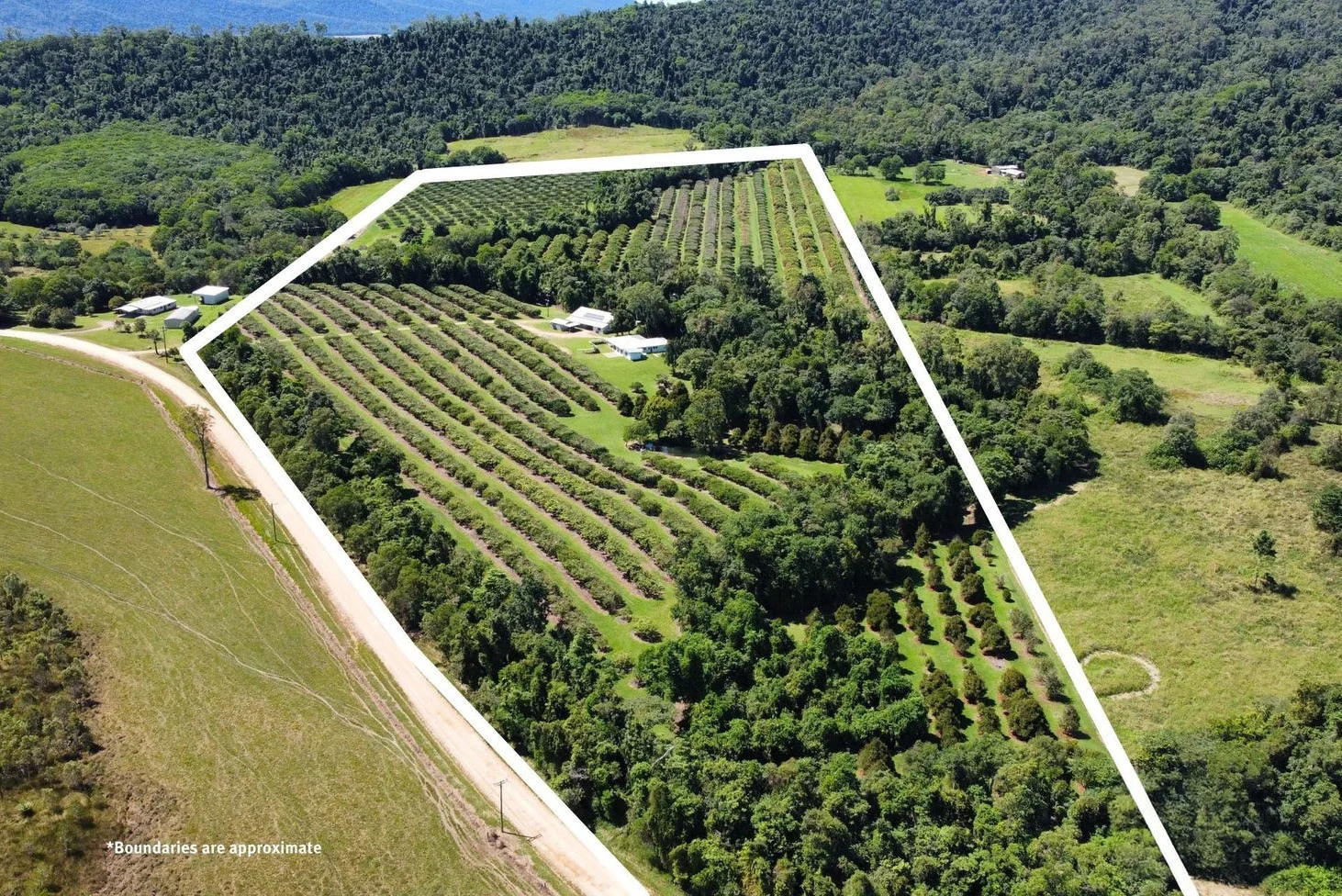 281 Dingo Pocket Rd, Dingo Pocket QLD 4854